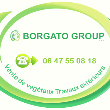 Bgroup