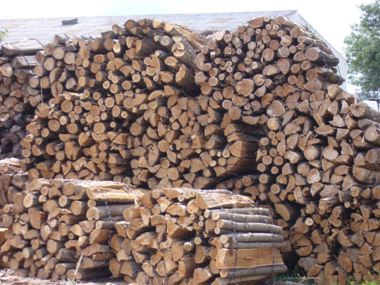 Vente De Bois De Chauffage Destockage Grossiste