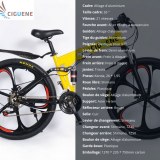 Vente en gros de cinq modèles différents de vélos (à partir 199 euros par vélo pour lot minimal...)