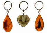 Lot PORTE CLEFS Inclusion SCORPIONS Véritables