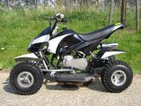 Pocket quad 49cc - NEUF