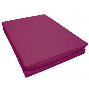 Drap plat 2 personnes lina point bourdon - 57 fils - 240 x 300 cm - vi