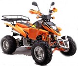 QUAD SHINERAY 250 HOMOLOGUE 2 PLACES