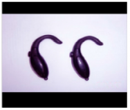 Shop-story - iron ear : aspir'oreille anti cérumen avec embouts en