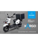 Scooter électrique, pour les professionnels (livraison, dépannage, artisans, prof de santé à domi...)