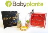 Lot de 25 babyplantes personnalisées