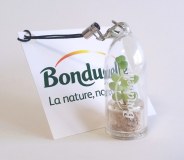 Babyplante mini cactus babytree : Objet de communication tendance