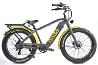 FATBIKES MODELE VAE BEACH GRANDE AUTONOMIE 120 KMS