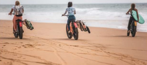 FATBIKES MODELE VAE BEACH GRANDE AUTONOMIE 120 KMS