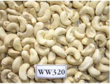 Raw Cashew Nuts WW320