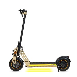 Trottinette Electrique - Ecoxtrem Bison