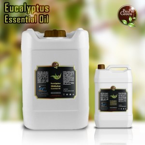 BioProGreen Quality Eucalyptus Globulus essential oil Exportation Services