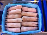 Frozen Pork Front Feet