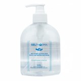 Gel Hydroalcoolique 500Ml