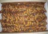 FRESH & DRY &DRIED DATES DEGLET NOUR TUNISIA