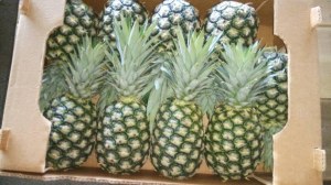 Cajoux décortiquer, Ananas frais, Mangues, Avocats