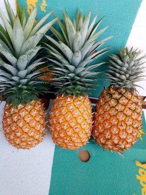 Ananas