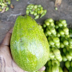 Cajoux décortiquer, Ananas frais, Mangues, Avocats