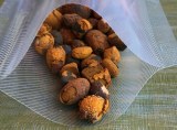 Ox Gallstones Cattle Gallstones Cow Gallstones