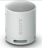 Sony Enceinte portable sans fil Gris SRSXB100H.CE7