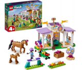 LEGO Friends - Le dressage équestre (41746)