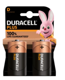 Duracell Paquet de 2 piles Alkaline Plus Extra Life MN1300/LR20 Mono D