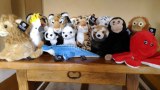 Vend lot de 100 peluches