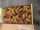 DATTE FRAICHE SUR BRANCHE DEGLET NOUR BOITE DE 01KG