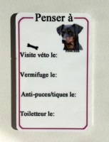 Magnet Chiens et chats