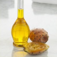 Pricky pear seed oil wholesale