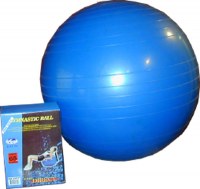 GYM-BALL DIAM 65 CM