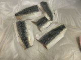 FROZEN SARDINE IQF FILLET BLOC