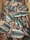 Sardinella hgt fillet wr