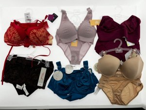 Lot Triumph Lingerie