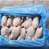 Poulet entier congelé